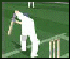 Cricket challenge