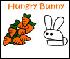 Hungry bunny